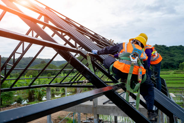 Roof Waterproofing Services in Lewisburg, TN