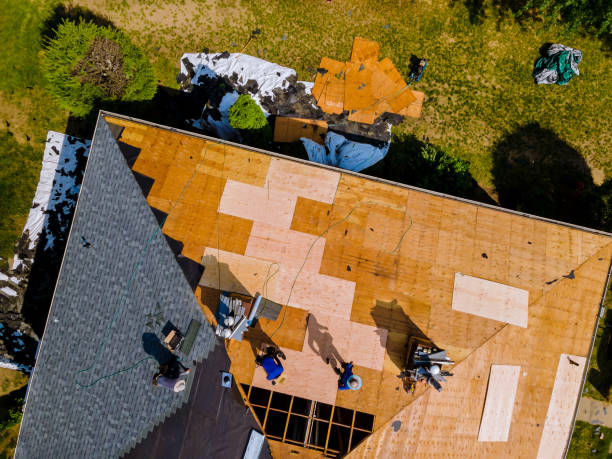 Quick and Trustworthy Emergency Roof Repair Services in Lewisburg, TN